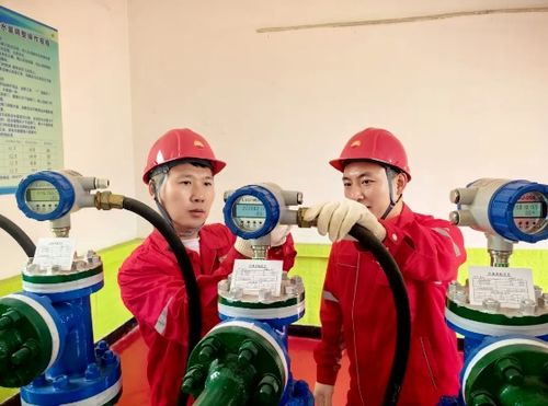 吉林油田松原采氣廠深化物聯網應用，賦能油氣生產協調優化
